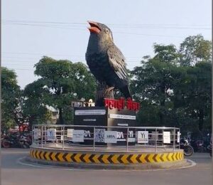 पहाडी मैना