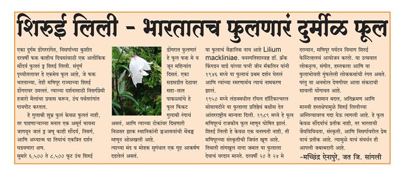 शिरुई