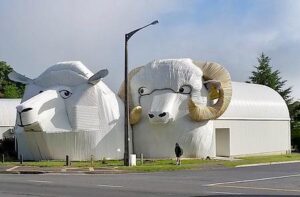 amazing buildings