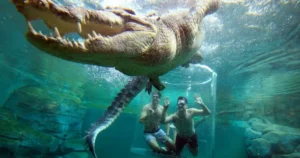 जगातील अनोखी प्राणी-संग्रहालये