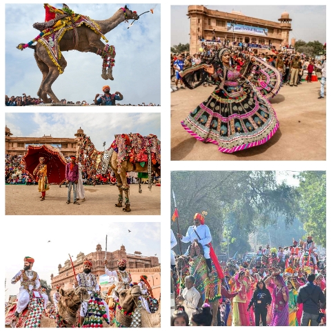 Camel Festival Bikaner